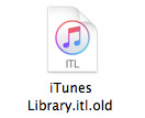 Kopieren Sie iTunes Library