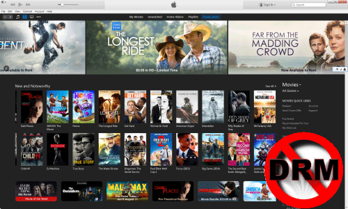 iTunes DRM Interface