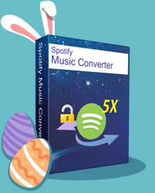 Spotify Music Converter Box
